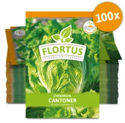 Chinakohl Cantoner (100 Stück) | Chinakohlsamen Von FLORTUS -Garten- Und Outdoor-Geschäfte 549871 Chinakohl Cantoner 100 Stueck 2000 0488 100x 0