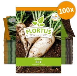 Rettich Rex (100 Stück) | Rettichsamen Von FLORTUS -Garten- Und Outdoor-Geschäfte 549872 Rettich Rex 100 Stueck 2000 0489 100x 0