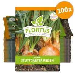Zwiebel Stuttgarter Riesen (100 Stück) | Zwiebelsamen Von FLORTUS -Garten- Und Outdoor-Geschäfte 549873 Zwiebel Stuttgarter Riesen 100 Stueck 2000 0490 100x 0