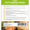 Zwiebel Stuttgarter Riesen (100 Stück) | Zwiebelsamen Von FLORTUS -Garten- Und Outdoor-Geschäfte 549873 Zwiebel Stuttgarter Riesen 100 Stueck 2000 0490 100x 2