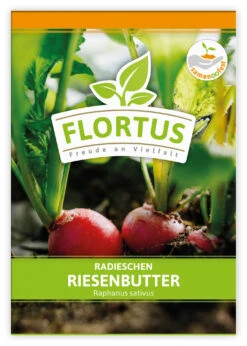 Radieschen Riesenbutter (100 Stück) | Radieschensamen Von FLORTUS -Garten- Und Outdoor-Geschäfte 549876 Radieschen Riesenbutter 100 Stueck 2000 0493 100x 1