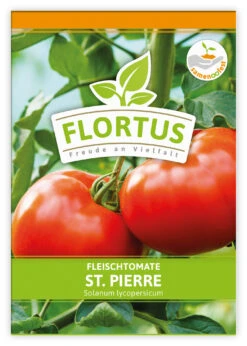 Fleischtomate St. Pierre (100 Stück) | Fleischtomatensamen Von FLORTUS -Garten- Und Outdoor-Geschäfte 549879 Fleischtomate St Pierre 100 Stueck 2000 0496 100x 1