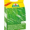 Langzeit Rasendünger (2,5 Kg) | Rasendünger Von ASB Greenworld 1 Langzeit Rasendünger (2,5 Kg) | Rasendünger Von ASB Greenworld -Garten- Und Outdoor-Geschäfte 550435 Langzeit Rasenduenger 2 5 kg 313515 asb 0