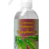 Blattspray (500 Ml) | BIO Reinigung & Pflege Von ASB Greenworld 1 Blattspray (500 Ml) | BIO Reinigung & Pflege Von ASB Greenworld -Garten- Und Outdoor-Geschäfte 550445 BIO Blattspray 500 ml 600871 asb 0
