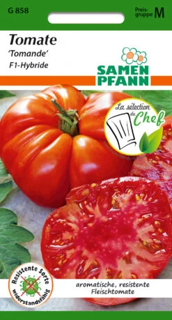 Neue Produkte -Garten- Und Outdoor-Geschäfte 550800 Tomate Tomande LSdC G858 sp 0