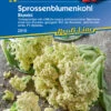 Sprossenblumenkohl Blumini F1 | Blumenkohlsamen Von Kiepenkerl -Garten- Und Outdoor-Geschäfte 551524 Sprossenblumenkohl Blumini F1 2910 0