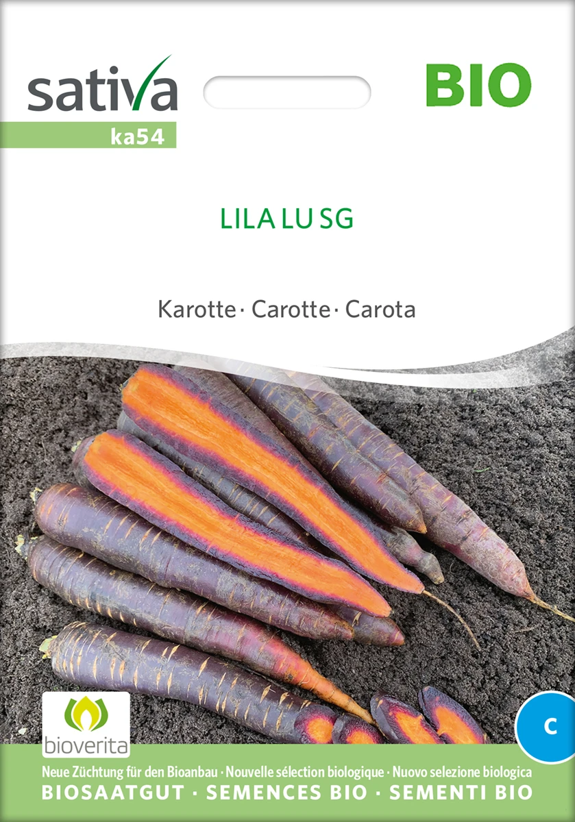 Karotte Lila Lu SG | BIO Möhrensamen Von Sativa Rheinau 3 Karotte Lila Lu SG | BIO Möhrensamen Von Sativa Rheinau