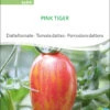 Datteltomate Pink Tiger | BIO Stabtomatensamen Von Sativa Rheinau 1 Datteltomate Pink Tiger | BIO Stabtomatensamen Von Sativa Rheinau -Garten- Und Outdoor-Geschäfte 551674 BIO Datteltomate Pink Tiger to94 sr 0