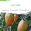 Datteltomate Lucky Tiger | BIO Stabtomatensamen Von Sativa Rheinau -Garten- Und Outdoor-Geschäfte 551676 BIO Datteltomate Lucky Tiger to97 sr 0