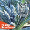 Grünkohl Nero Di Toscana | BIO Grünkohlsamen Von Reinsaat -Garten- Und Outdoor-Geschäfte 551935 BIO Gruenkohl Nero di Toscana Ko54 rs 0
