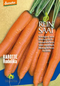 Möhre Rodelika | BIO Möhrensamen Von Reinsaat