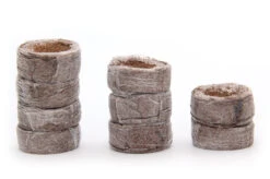 Kokos Quelltöpfe (1155 Stück) | BIO Kokos Quelltöpfe Von Jiffy -Garten- Und Outdoor-Geschäfte 551968 BIO Kokos Quelltoepfe 1155 Stueck 63170030 jf 2