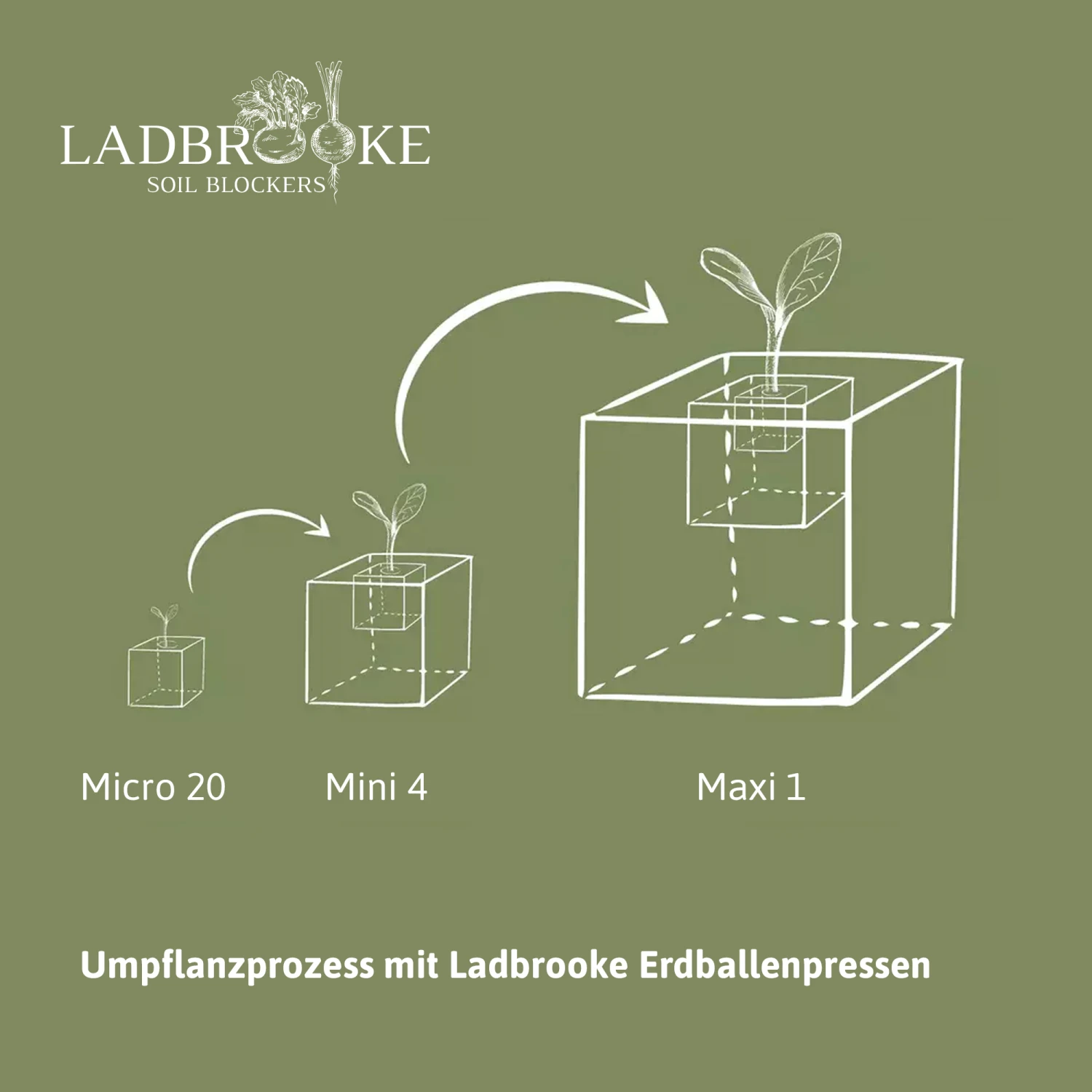 Erdballenpresse Micro 20 Soil Blocker | Erdtopfpressen Von Ladbrooke Soil Blockers 3 Erdballenpresse Micro 20 Soil Blocker | Erdtopfpressen Von Ladbrooke Soil Blockers