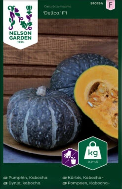 Kürbis Delica F1 | Kürbissamen Von Nelson Garden