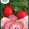 Rote Beete Chioggia | Rote Betesamen Von Nelson Garden -Garten- Und Outdoor-Geschäfte 552210 Rote Beete Chioggia 91159 ng 0