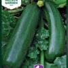 Zucchini Diamant F1 | Zucchinisamen Von Nelson Garden -Garten- Und Outdoor-Geschäfte 552217 Zucchini Diamant F1 91445 ng 0