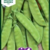 Zuckererbsen Oregon Sugar Pod | Zuckererbsensamen Von Nelson Garden 2 Zuckererbsen Oregon Sugar Pod | Zuckererbsensamen Von Nelson Garden -Garten- Und Outdoor-Geschäfte 552230 Zuckererbsen Oregon Sugar Pod 91844 ng 0