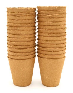 8 Cm Anzuchttopf Rund Auf Holzfaser Basis | Anzuchttöpfe Von FLORTUS -Garten- Und Outdoor-Geschäfte 552303 8 cm Anzuchttopf rund auf Holzfaser Basis 30 Stueck 2000 0595 2