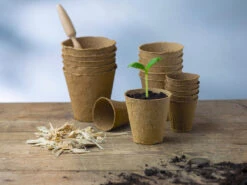 8 Cm Anzuchttopf Rund Auf Holzfaser Basis | Anzuchttöpfe Von FLORTUS -Garten- Und Outdoor-Geschäfte 552303 8 cm Anzuchttopf rund auf Holzfaser Basis 30 Stueck 2000 0595 5