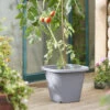 Tomatentopf Anthrazit | Tomatentöpfe Von Clever Pots -Garten- Und Outdoor-Geschäfte 553525 Tomatentopf Anthrazit 1 Stueck 461500 kp 4