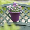 Hängeblumentopf Pink | Blumentöpfe Von Clever Pots 1 Hängeblumentopf Pink | Blumentöpfe Von Clever Pots -Garten- Und Outdoor-Geschäfte 553529 Haengeblumentopf Orchid 1 Stueck 519760 kp 4