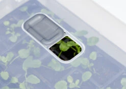 Anzucht-Gewächshaus Easy Water | Zimmergewächshaus Von Clever Pots -Garten- Und Outdoor-Geschäfte 553911 Gewaechshaus Easy Water 050 0017 4