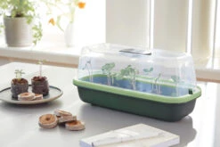 BoQube Anzuchthaube S Moosgrün-schilfgrün | Zimmergewächshäuser Von Romberg -Garten- Und Outdoor-Geschäfte 555847 BoQube Anzuchthaube S moosgruen schilfgruen 16294158 1