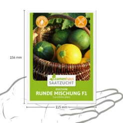 Zucchini Runde Mischung F1 | Zucchinisamen Von Samenhaus Saatzucht -Garten- Und Outdoor-Geschäfte 556224 Zucchini Runde Mischung F1 15 Korn 2000 0800 3