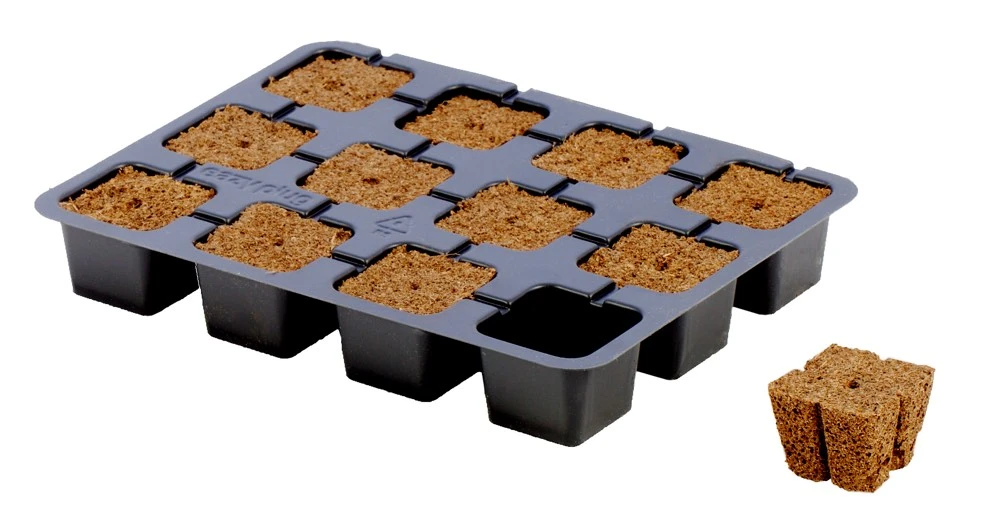 Eazy Plug Anzuchtwürfel CT12, 3,5 X 3,5 Cm, Tray Mit 12 St. | Anzuchttray 3 Eazy Plug Anzuchtwürfel CT12, 3,5 X 3,5 Cm, Tray Mit 12 St. | Anzuchttray
