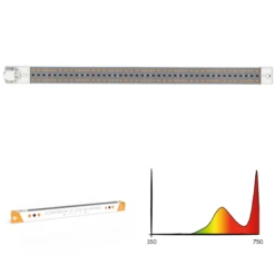 Cosmorrow Infrarot LED-Leuchte (20W) | LED Leuchten Von Secret Jardin -Garten- Und Outdoor-Geschäfte 558366 Cosmorrow Infrarot LED Leuchte 20W 534831 Secret Jardin Cosmorrow Infrared LED Leuchte 20 W 3