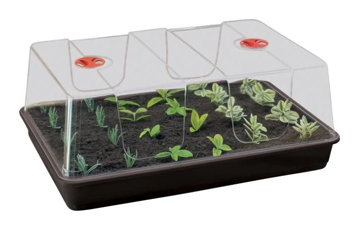 58 X 40,5 X 22,5 Cm Zimmergewächshaus High Dome XL Schwarz Mit Verstellbarer Luftzirkulation | Anzuchtzubehör Von Garland 5 58 X 40,5 X 22,5 Cm Zimmergewächshaus High Dome XL Schwarz Mit Verstellbarer Luftzirkulation | Anzuchtzubehör Von Garland – Bild 3