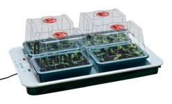 59 X 41 X 20 Cm Elektrisches Zimmergewächshaus 4 Top (4 Stück) | Zimmergewächshaus Von Garland 7 59 X 41 X 20 Cm Elektrisches Zimmergewächshaus 4 Top (4 Stück) | Zimmergewächshaus Von Garland -Garten- Und Outdoor-Geschäfte 558796 59 x 41 x 20 cm Elektrisches Zimmergewaechshaus 4 Top 4 Stueck mit EU Stecker G163EU gl 0