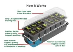 24 Töpfe Selbstbewässerungs -Anzuchtset | Anzuchtschalen Von Garland -Garten- Und Outdoor-Geschäfte 558797 24 Toepfe Selbstbewaesserungs Anzuchtset G165 gl 3