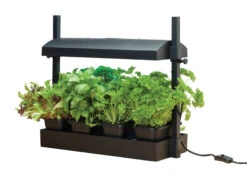Micro Grow Light Garten | Zimmergewächshaus Von Garland -Garten- Und Outdoor-Geschäfte 558806 50 x 20 x 45 cm Micro Grow Light Garten Schwarz G187BEU gl 0