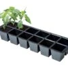 Premium Anzuchtschale (2 Stück) | Anzuchtschalen Von Garland -Garten- Und Outdoor-Geschäfte 558823 36 5 x 13 x 6 cm Premium Anzuchtschale fuer 12 Toepfe 2 Stueck G211 gl 1