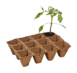 5 Cm Fasertopfstreifen (36 Stück) | Anzuchttöpfe Von Garland 5 5 Cm Fasertopfstreifen (36 Stück) | Anzuchttöpfe Von Garland -Garten- Und Outdoor-Geschäfte 558867 5 cm Fasertopfstreifen 36 Stueck W0296 gl 1