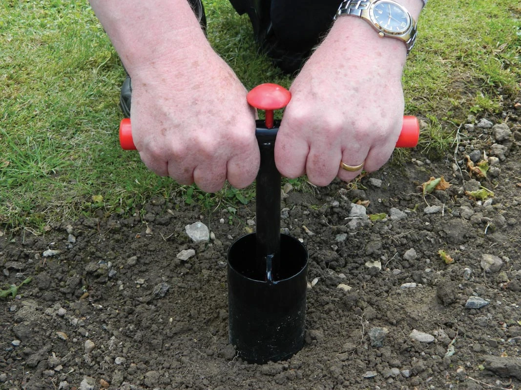 28 X 26 X 7,5 Cm Kurzstieliger Blumenzwiebel Pflanzer | Gartenzubehör Von Garland 4 28 X 26 X 7,5 Cm Kurzstieliger Blumenzwiebel Pflanzer | Gartenzubehör Von Garland – Bild 2