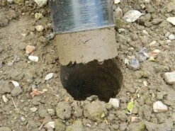 28 X 26 X 7,5 Cm Kurzstieliger Blumenzwiebel Pflanzer | Gartenzubehör Von Garland 18 28 X 26 X 7,5 Cm Kurzstieliger Blumenzwiebel Pflanzer | Gartenzubehör Von Garland -Garten- Und Outdoor-Geschäfte 558875 28 x 26 x 7 5 cm Kurzstieliger Blumenzwiebel Pflanzer W0474 gl 6