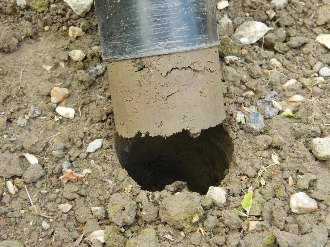 28 X 26 X 7,5 Cm Kurzstieliger Blumenzwiebel Pflanzer | Gartenzubehör Von Garland 3 28 X 26 X 7,5 Cm Kurzstieliger Blumenzwiebel Pflanzer | Gartenzubehör Von Garland