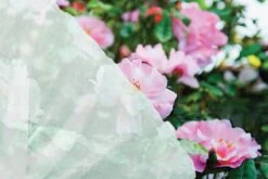 Fleece-Vlies 1m X 16m (17g/m²) | Schlauch-Vlies Von Garland 5 Fleece-Vlies 1m X 16m (17g/m²) | Schlauch-Vlies Von Garland -Garten- Und Outdoor-Geschäfte 558887 Fleece Vlies 1m x 16m 17g m W2205 gl 1