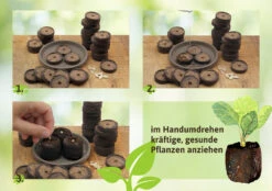 36 Mm Torf Quelltabletten | Torf Quelltabletten Von FLORTUS -Garten- Und Outdoor-Geschäfte 558921 36 mm Torf Quelltabletten 2000 0977 36x 2