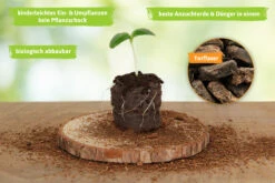 36 Mm Torf Quelltabletten | Torf Quelltabletten Von FLORTUS -Garten- Und Outdoor-Geschäfte 558921 36 mm Torf Quelltabletten 2000 0977 36x 3 1
