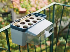 HARRY HERBS Kräutertopf Hellgrau | Kräutertöpfe Von Gusta Garden -Garten- Und Outdoor-Geschäfte 560334 HARRY HERBS hellgrau 100B10 gg 1