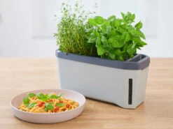 HARRY HERBS Kräutertopf Hellgrau | Kräutertöpfe Von Gusta Garden -Garten- Und Outdoor-Geschäfte 560334 HARRY HERBS hellgrau 100B10 gg 6