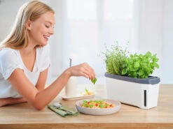 HARRY HERBS Kräutertopf Weiß | Kräutertöpfe Von Gusta Garden -Garten- Und Outdoor-Geschäfte 560336 HARRY HERBS weiss 102B10 gg 8