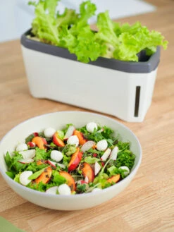 HARRY HERBS Weiß Ohne Haube | Kräutertöpfe Von Gusta Garden -Garten- Und Outdoor-Geschäfte 560337 HARRY HERBS weiss ohne Haube 102B20 gg 4