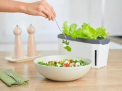 HARRY HERBS Weiß Ohne Haube | Kräutertöpfe Von Gusta Garden -Garten- Und Outdoor-Geschäfte 560337 HARRY HERBS weiss ohne Haube 102B20 gg 5