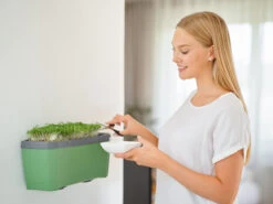 HARRY HERBS Dunkelgrün Ohne Haube | Kräutertöpfe Von Gusta Garden -Garten- Und Outdoor-Geschäfte 560339 HARRY HERBS dunkelgruen ohne Haube 103B20 gg 3