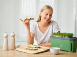 HARRY HERBS Dunkelgrün Ohne Haube | Kräutertöpfe Von Gusta Garden -Garten- Und Outdoor-Geschäfte 560339 HARRY HERBS dunkelgruen ohne Haube 103B20 gg 5