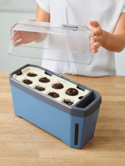 HARRY HERBS Kräutertopf Blau | Kräutertöpfe Von Gusta Garden -Garten- Und Outdoor-Geschäfte 560340 HARRY HERBS blau 104B10 gg 1